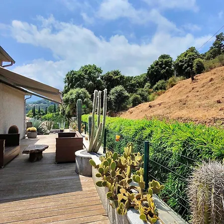 Paradiso By Monarca Prestige *