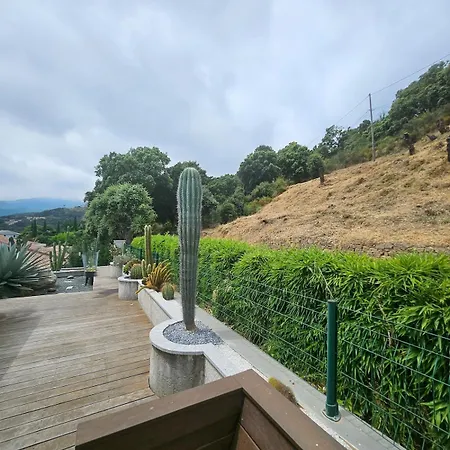 Paradiso By Monarca Prestige Villa Furiani