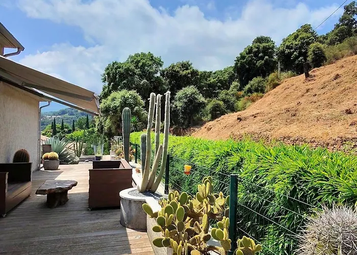 Paradiso By Monarca Prestige *